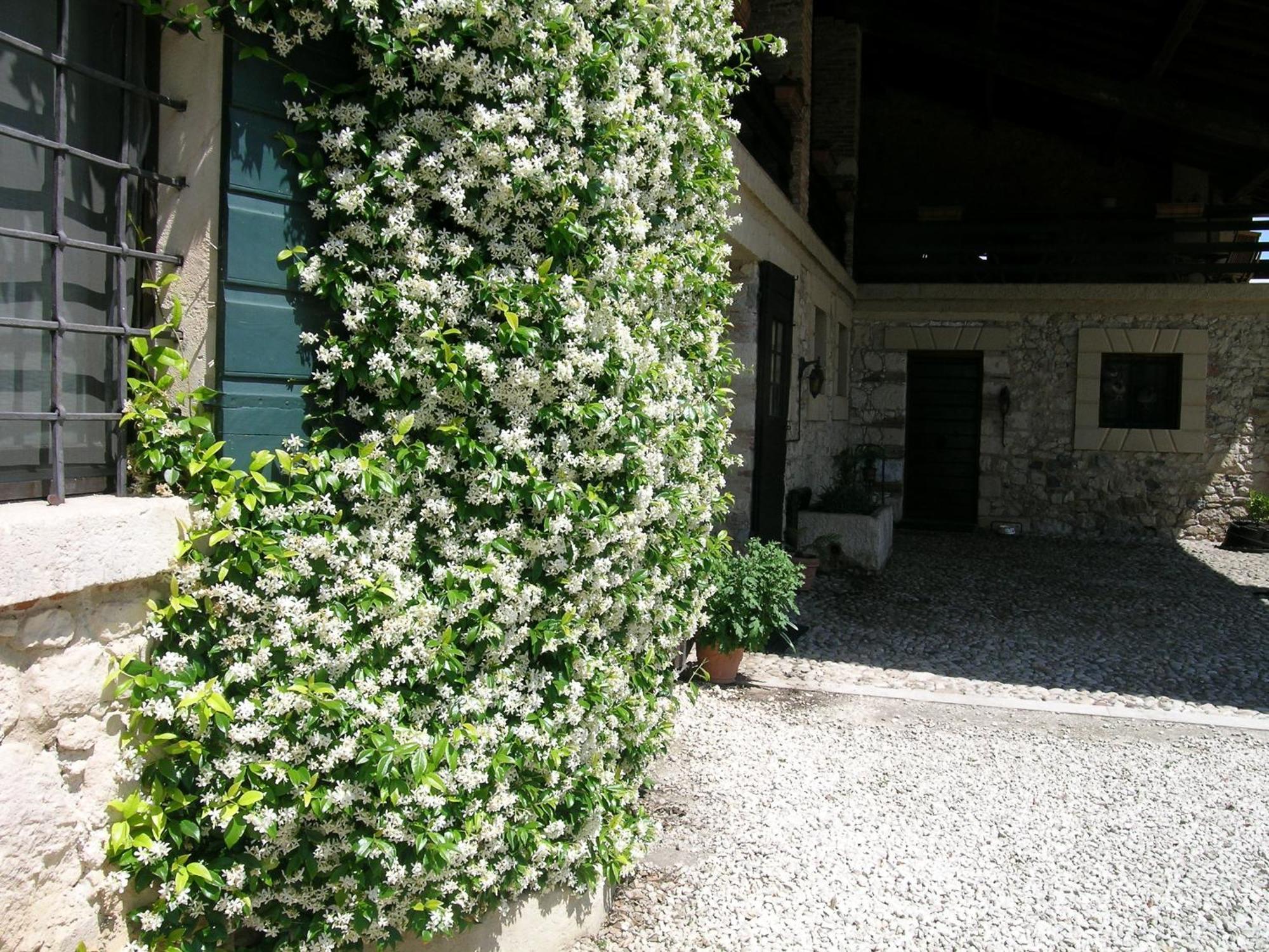 Villa I Costanti Caldiero Exterior foto